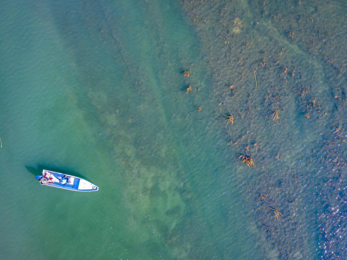 В самом сердце
